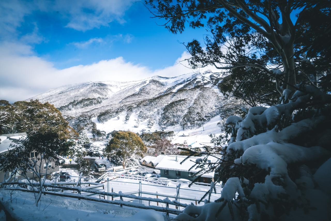 Pure Chalet Thredbo Hotel Exterior photo