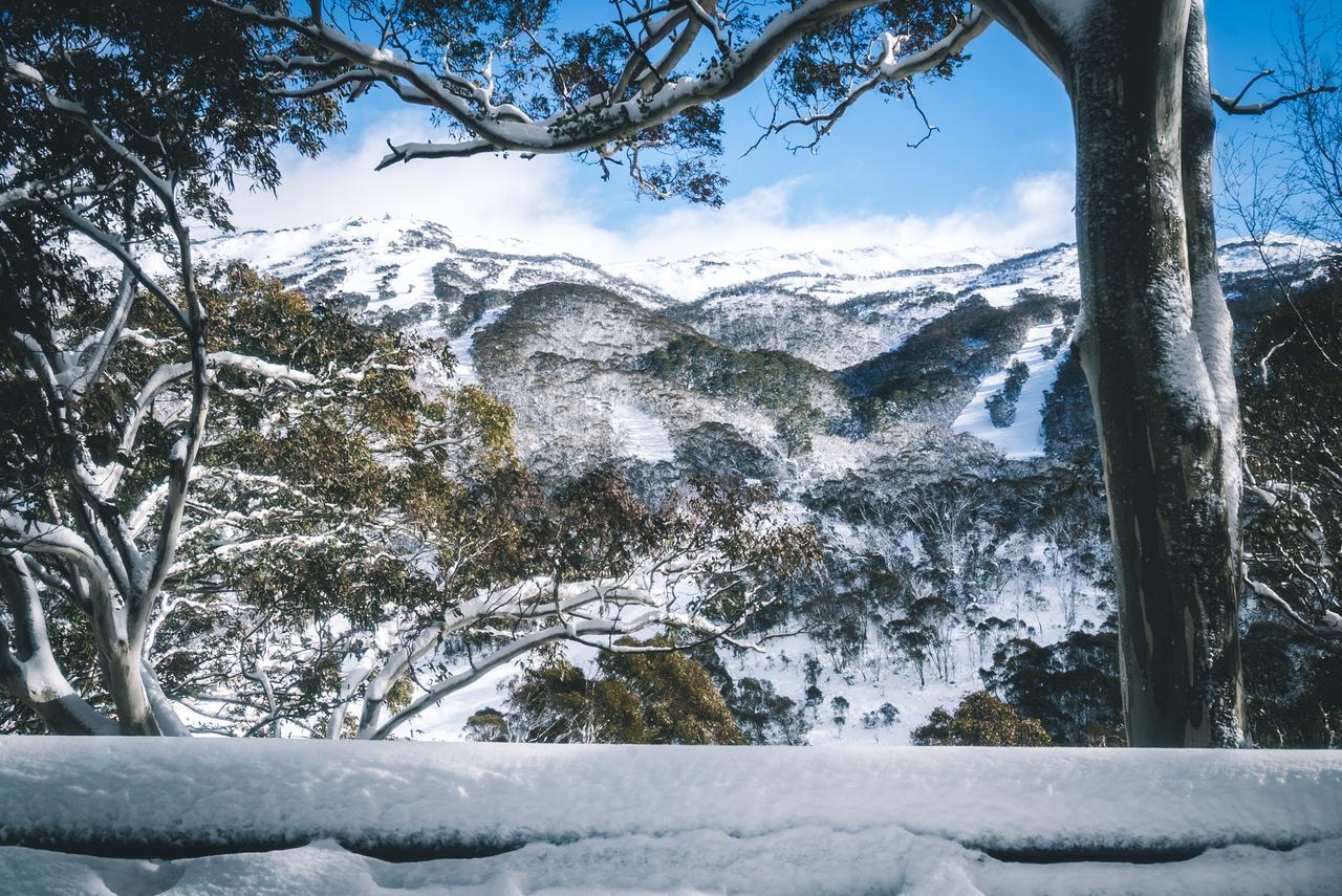 Pure Chalet Thredbo Hotel Exterior photo